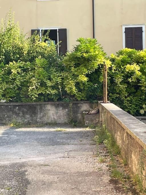 The Lime Tree Cozy Flat Apartment Riva del Garda Luaran gambar